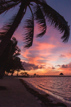 italian-luxury:  Belizean Sunrise