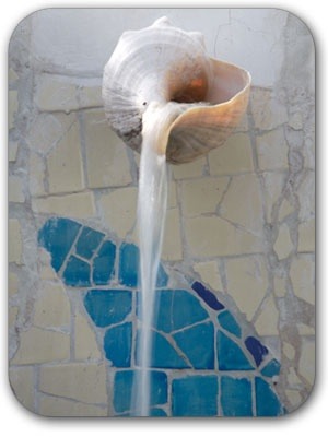 acqua-di-fiori:Seashell water spout