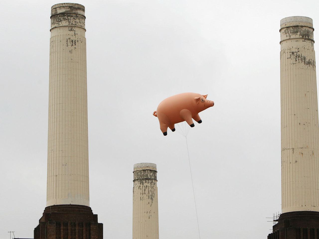 dougiefromscotland: Pink Floyd  are to rehome a giant inflatable pig which featured