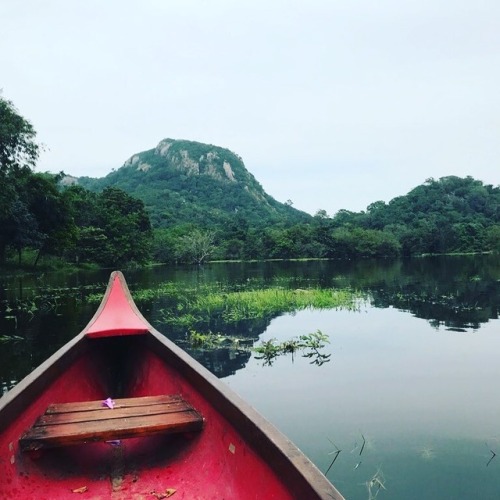 The magic of #ulpotha yoga retreat in Sri Lanka. This photo says it all - beautiful, serene, few rul