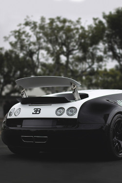 johnny-escobar:  Bugatti Veyron SS Pur Blanc