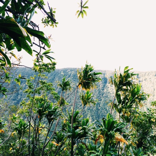 kirieiriee:  My soul resides in Moku o keawe