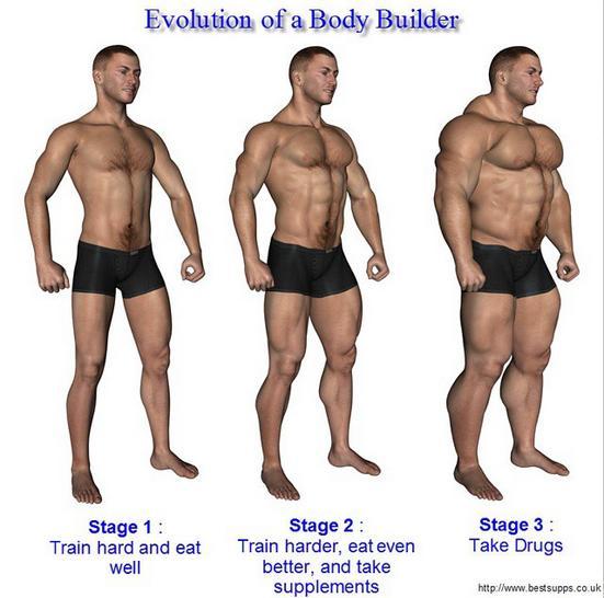 Body evolution model before and after