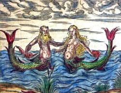 sailorgil:  “ Merman and Mermaid " 