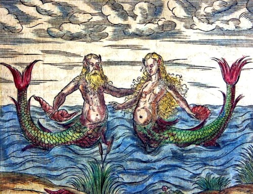 XXX sailorgil:  “ Merman and Mermaid "  photo