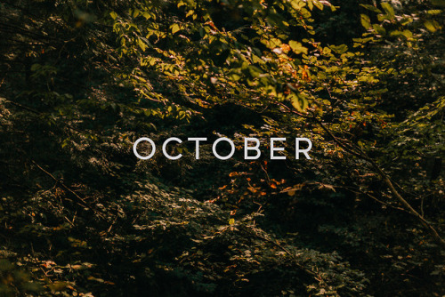 October - @davidmccandless