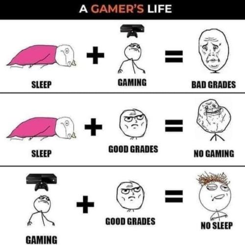 gamers life is soo hard