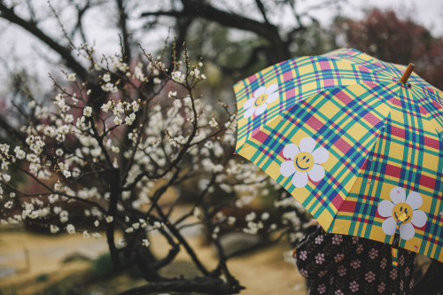 2022-03-13Suncheon Gospel ChurchCanon EOS R3 + RF50mm f1.2LInstagram  |  hwantastic79vivid