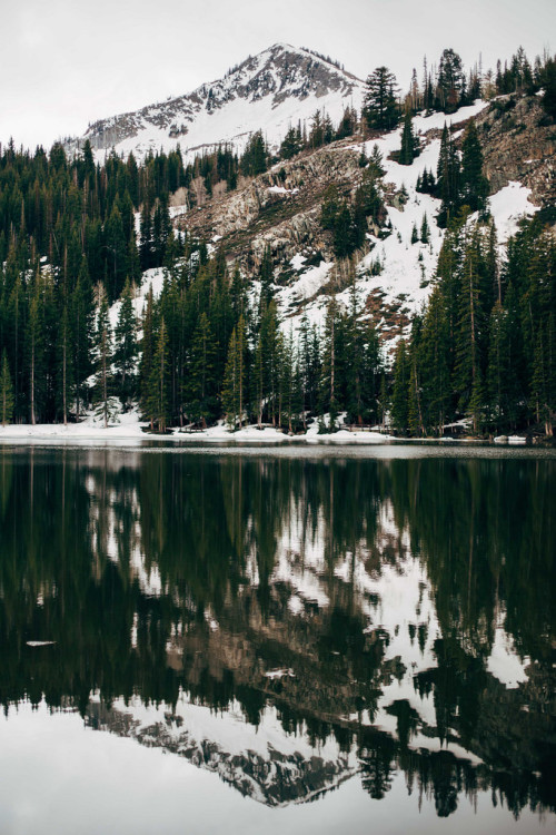 eartheld:  mostly nature