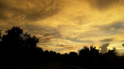 cokeproblem:The sky was a golden whirlwind yesterday