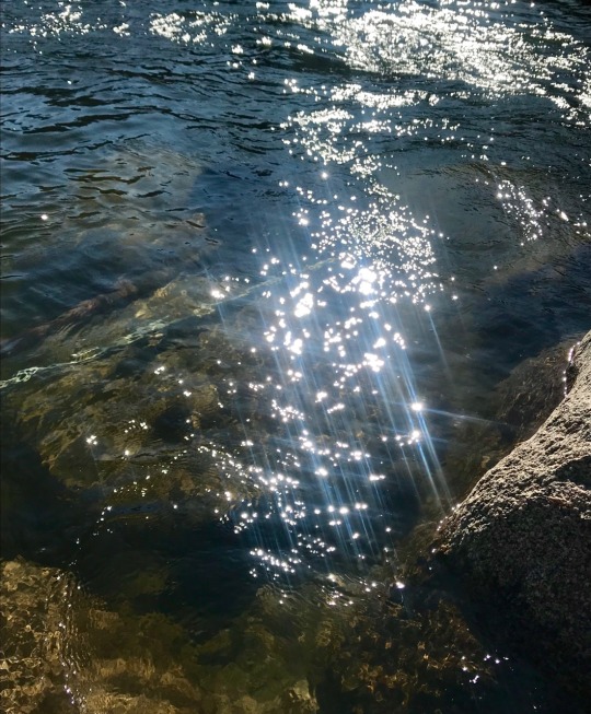 cherryclit:payette river 