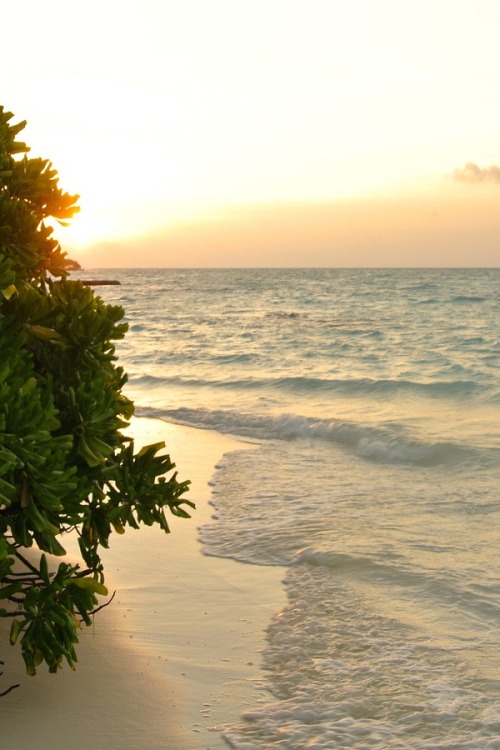 solem-lumen:  Maldives sunset 