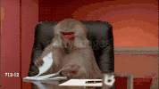 ghoullly:  “Hey, what are you drawing? Can I see i–” 