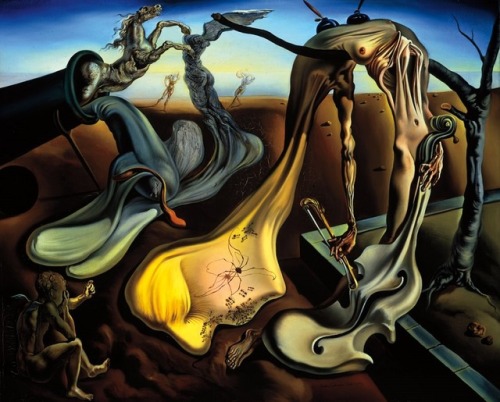 Porn aizobnomragym:  Salvador Dali“Spider of photos