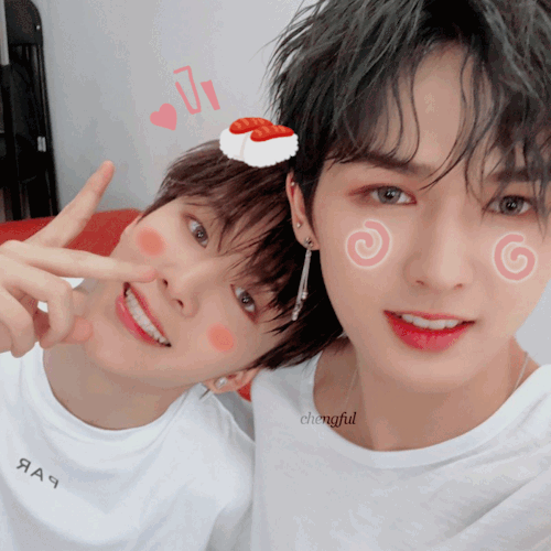 chengful: ˚₊· ͟͟͞͞➳  soft!chengcheng (+zhengting!) | twittergif ver: x do not remove/cro