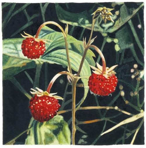 huariqueje:Unknown, Wild Strawberries  -   Karin Kneffel, 2007.German,b.1957-Acrylic and watercolor 