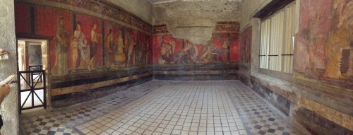 the-fault-in-marys-life:Mystery’s room - Pompeii