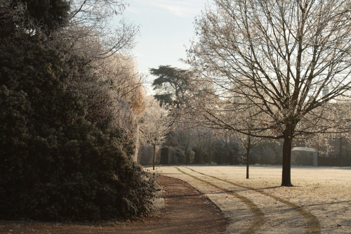 unfallingautumnleaves: Cambridge by schwurlie