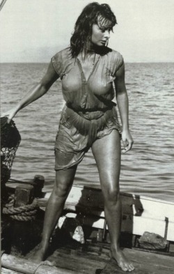 pinups-gogo:  Sophia Loren : The picture