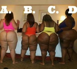 lovembig48:  bigboodaddy82:  pearaddiction:  carolinaboy91:  queencsdynasty:  kingbbwlover85:  phearphactoruniverse:  313bigbootyluver: jchilla01:  A&amp;D  A&amp;B  C … all day  C&amp;D  A  A,C,and D  Pearaddiction aka chocolatepear follow me 😍😘😗😙