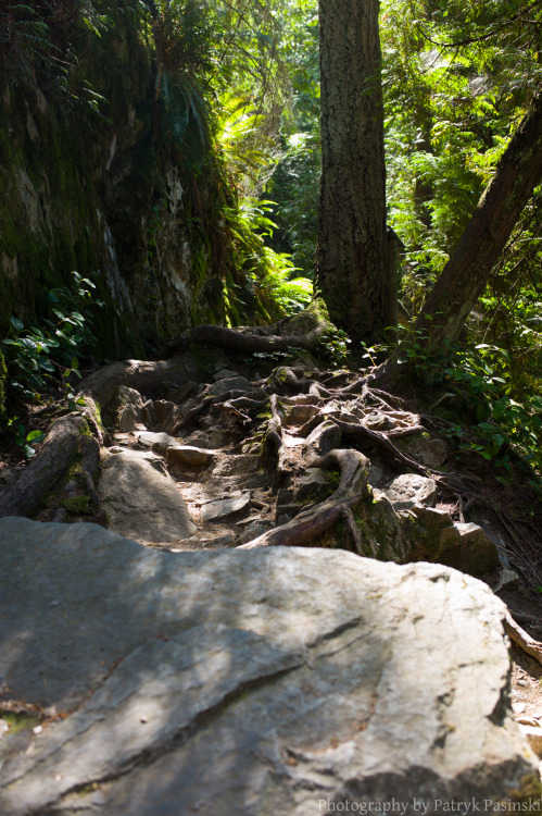 Went hiking with a friend at Belcarra Park. This was at Admiralty Point.Photos takes with 5D Mark II