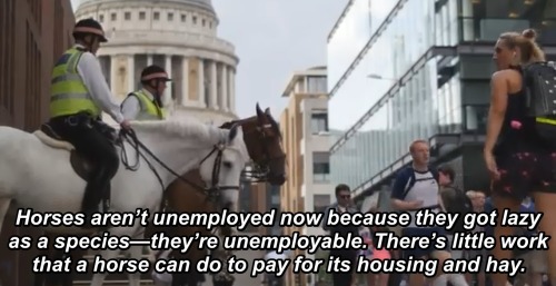 universalequalityisinevitable:  From “Humans Need Not Apply” by CGP Grey.