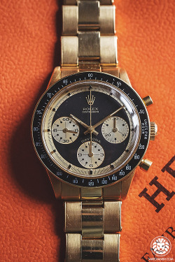 watchanish:  Now on WatchAnish.com - Highlights