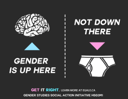 Rocketshipdebri:  Here Are Some Transgender Awareness Posters I Did For My Gender