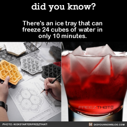 did-you-kno:  There’s an ice tray that can  freeze 24 cubes of water in  only 10 minutes.   Source