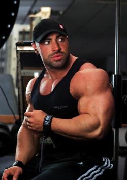 BIG MUSCLE GODS