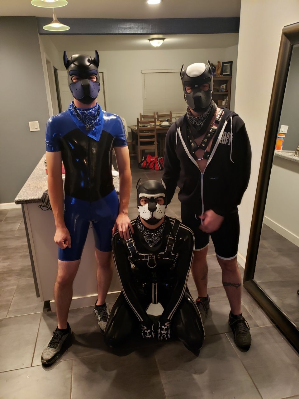 thepupscout:  Gear night with @lykospup and @pup-sparky 