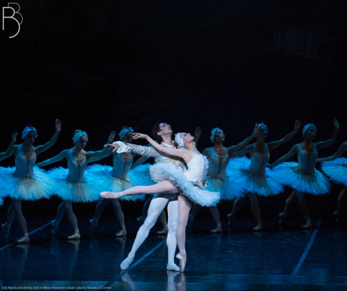 Are you ready for Swan Lake? Join us at the Boston Opera House, April 29-May 26! http://bit.ly/1Js8h