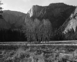 petehalvorsen:  Yosemite // Mamiya RZ67 // Illford Pan F + 50