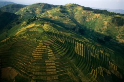 unrar:Terraced crops climb the slopes of every mountain in northern Rwanda, George Steinmetz.