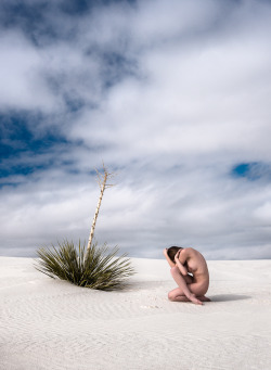 christiannaturist:  billymonday:  Soaptree (2016)The Apaches native to the region surrounding White Sands National Monument used these soaptrees to make soap, as well as dental floss and and rope. It’s a hardy and useful desert plant.Equally hardy is