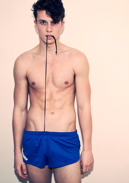 🐧 You Must Be Gay+ To View This Blog*
