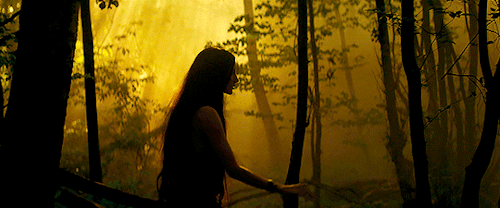 neillblomkamp:Mandy (2018) Directed by Panos Cosmatos