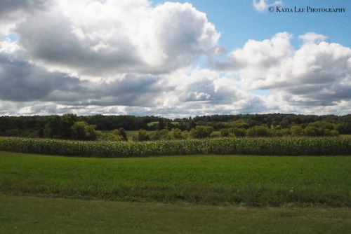 peregrinusperegrina: Oh Wisconsin, you’re so stereotypically pretty….