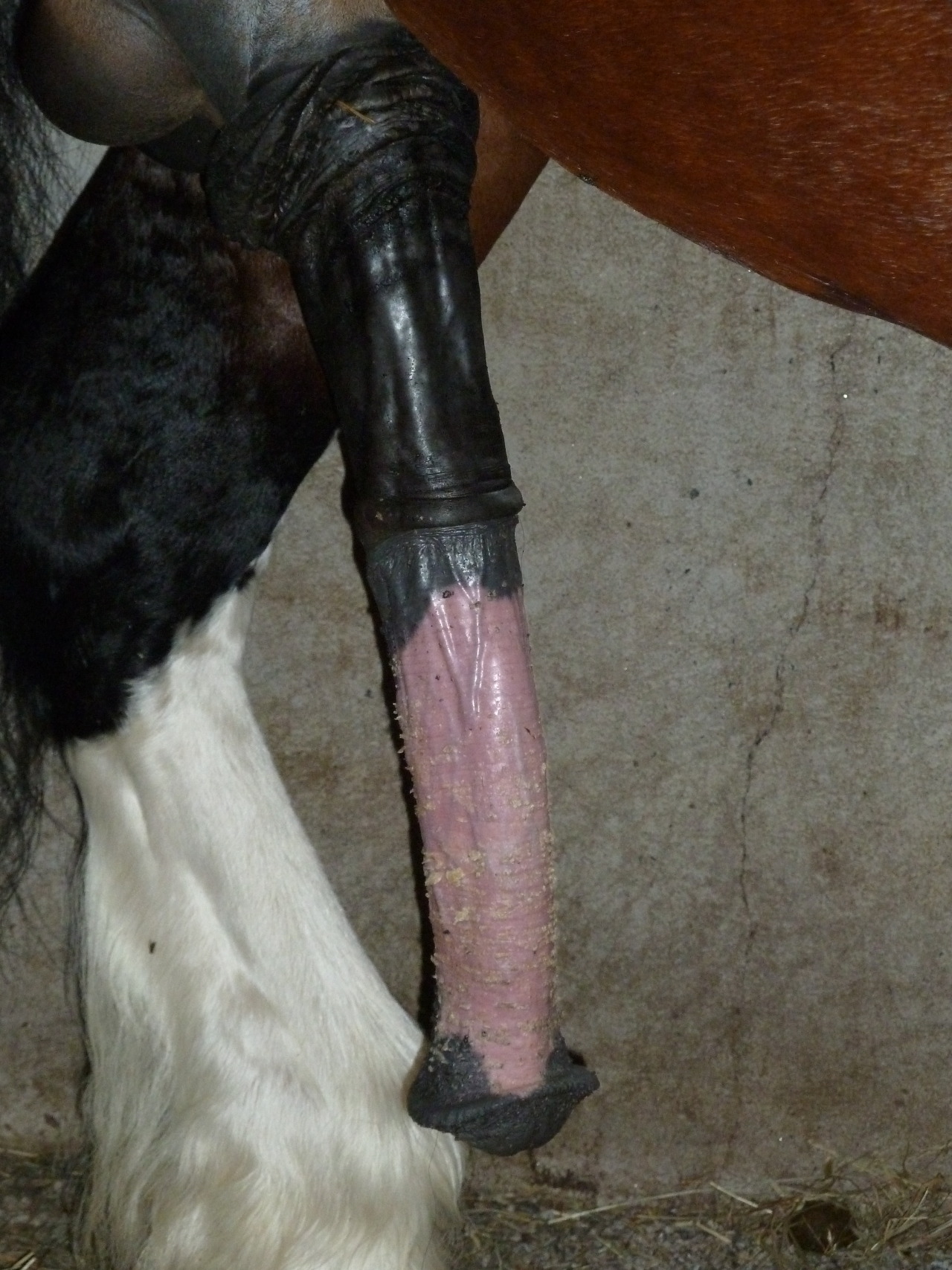ukhorse:  mmmmmmmmmmmmmm very nice