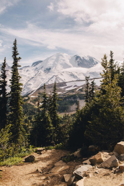 4Nimalparty:  Mount Rainier (By Jared Atkins) 