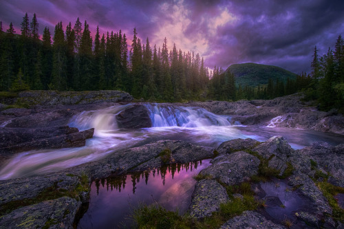 coiour-my-world: pink evening ~ Jørn Allan Pedersen