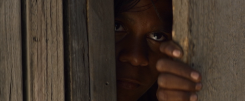 Sweet Country | dir. Warrick Thornton | 2017