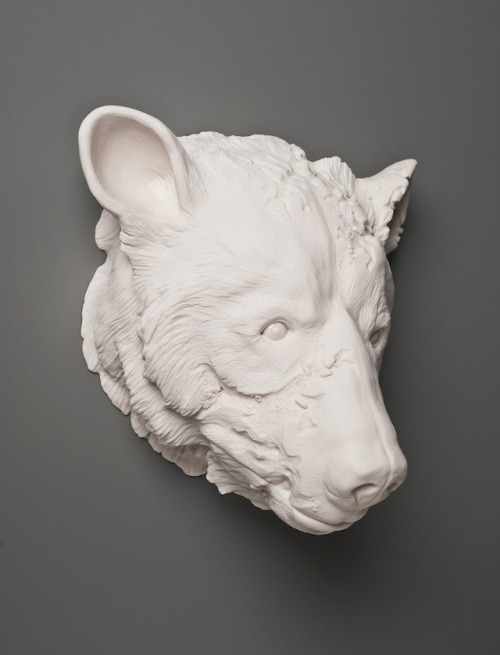 fer1972:  Porcelain Sculptures by Kate MacDowell
