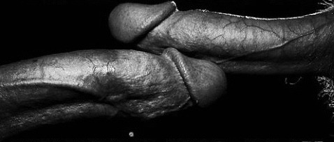 The Frottage of Wrestling
