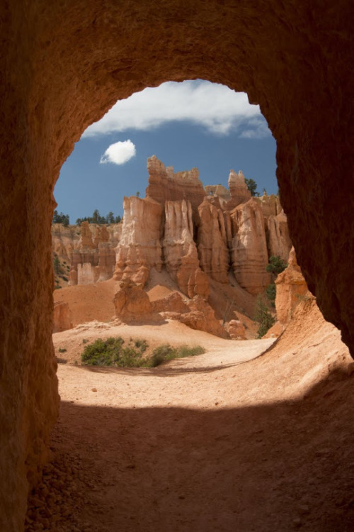 A photograph of the Doorway at Bryce Canyon in Utah taken by David Stocker