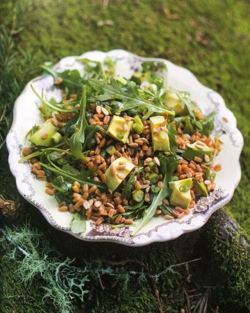 Sesame Farro Salad from #forestfeastgatherings! • Farro, scallions, arugula, sunflower seeds, a