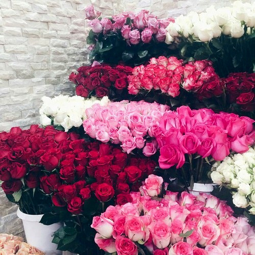 lushitae:  lushitae-uploads:  rosy xo check out my banner blog   rosy xo