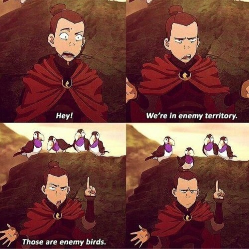 avatarchang:Still my favorite sokka quote so far