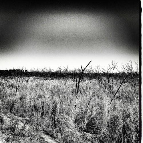 ditchghost - ditch ghost