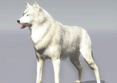 bear-montana:      Metal Gear Solid V: The Phantom Pain – Customization  D-Dog